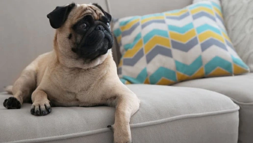 Kasa Ambientes Planejados