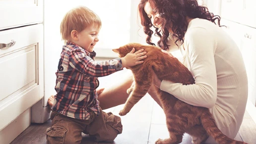 Kasa Ambientes Planejados