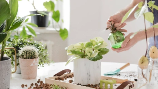 Kasa Ambientes Planejados