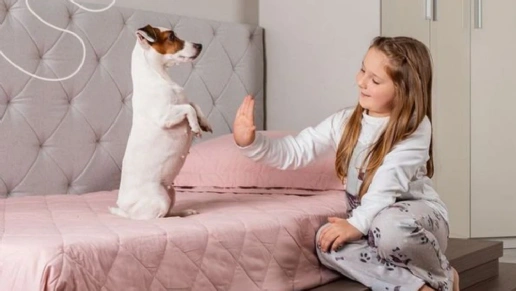 Kasa Ambientes Planejados