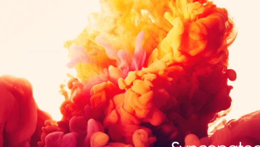 Kasa Ambientes Planejados