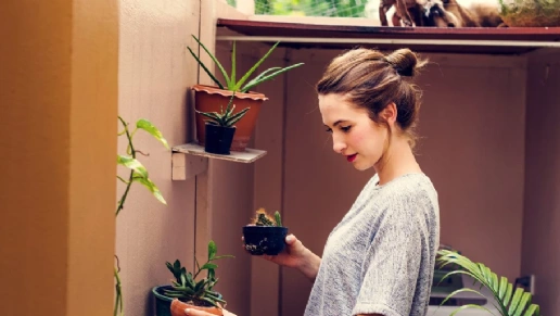 Kasa Ambientes Planejados